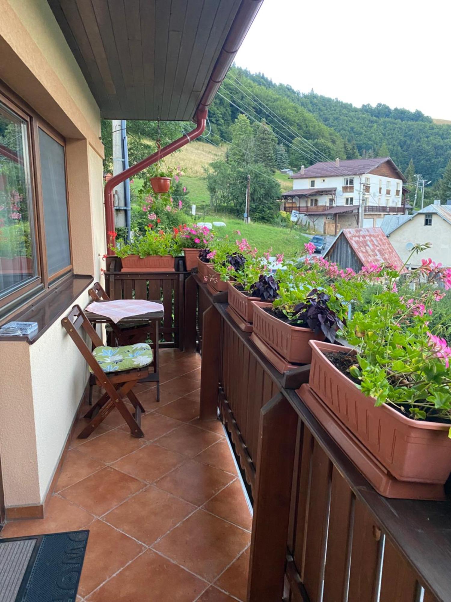 Apartman Donovaly Misuty 586 Dış mekan fotoğraf